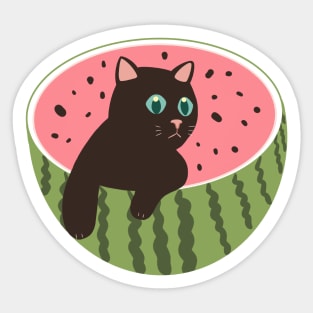 Watermeowlon Sticker